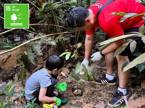 560de452ff63d974d10f5d7a7d9640797854d5eb